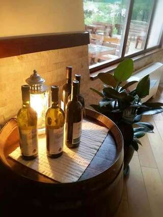 Отель Hotel Trebjesa Никшич-6